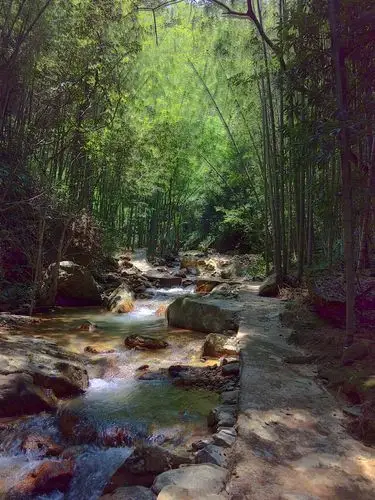 竹林与小溪,让人流连忘返.