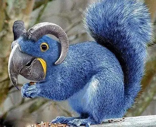 这些最怪的动物你绝对没见过