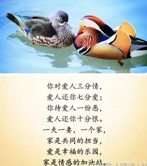 夫是妻的靠山妻是夫的财富请好好珍惜这辈子来之不易的缘份