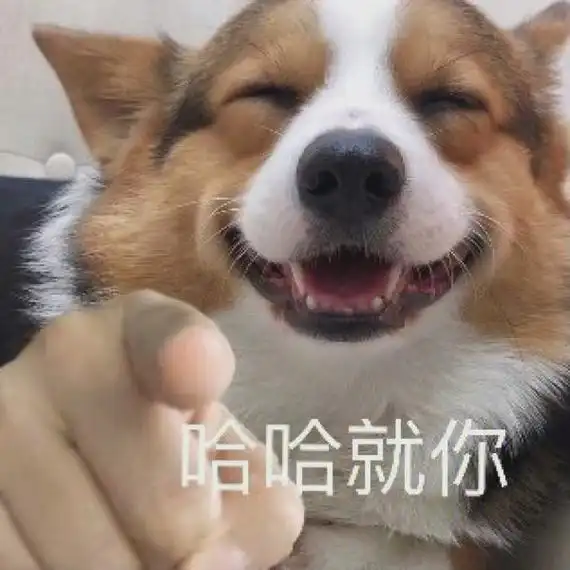 哈哈就你 狗狗指人表情包_哈哈_狗狗_指人表情