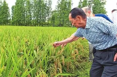 人就像种子要做颗好种子袁隆平在珠海留下难以忘怀的音容笑貌和精神