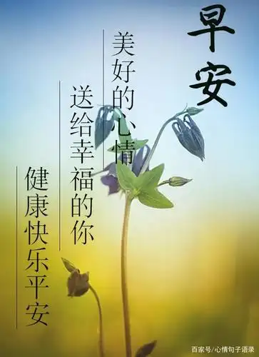 早上好问候语温馨短句,早安心语带字问候图片