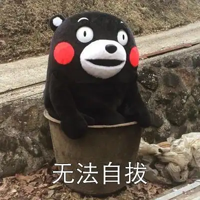 权律二新春壁纸权律二猪年壁纸换起来╯77╰676767