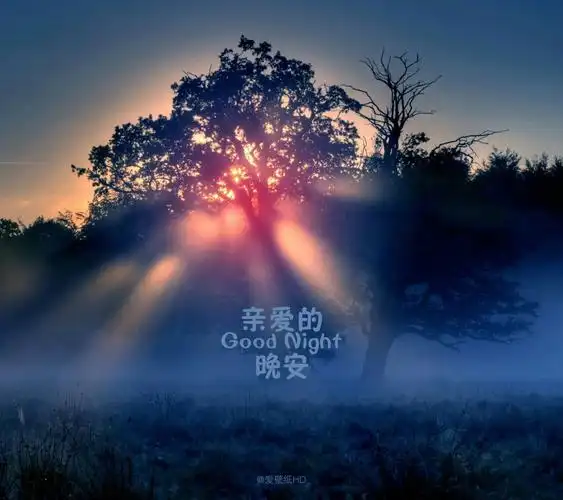 美好的一天   结束了!