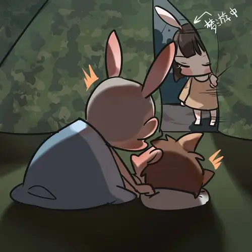 猫丞丞和兔飞飞