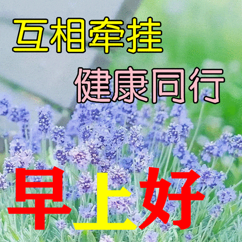 美好的祝福在早上,只要心情舒畅,山水依旧风光;只要身体健康,风景总在