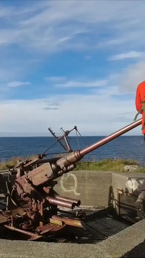 二战遗留的博福斯40毫米高射炮