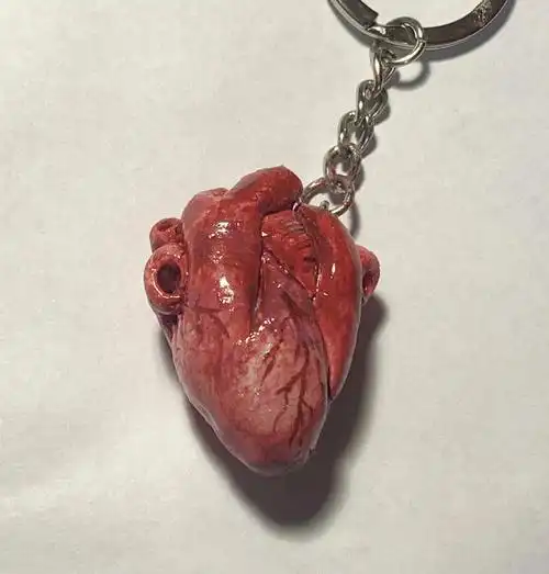 石塑粘土心脏02第一次做心脏有点粗糙参考了一些图小小的一个hin