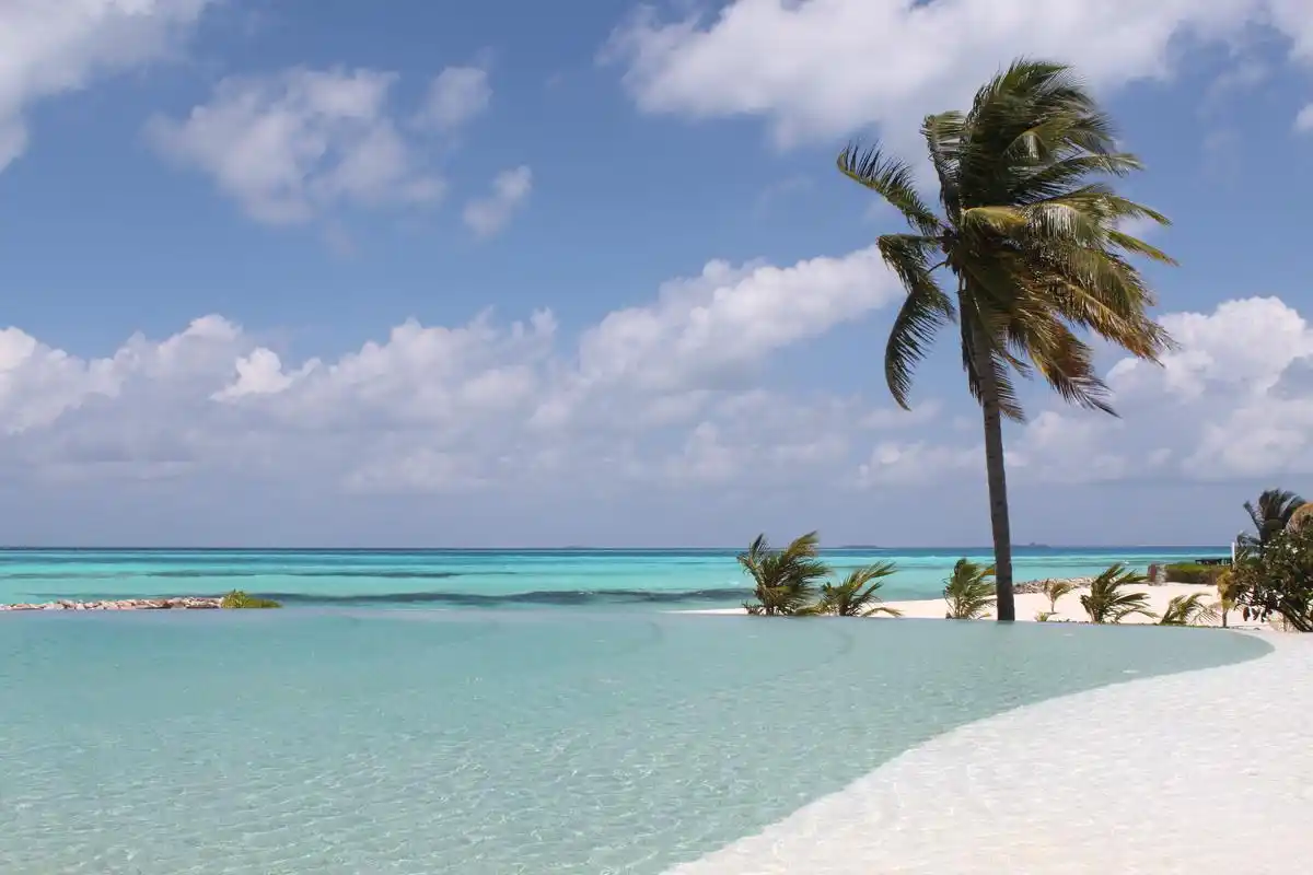 夏天被风吹浮的海面唯美