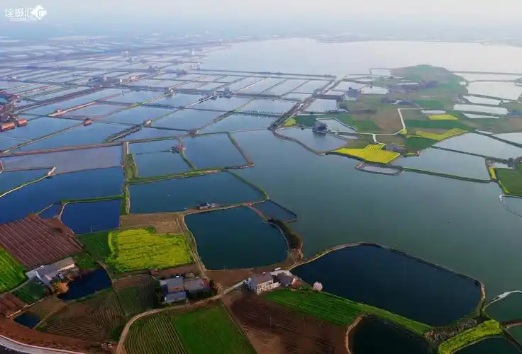 鱼米之乡春光美