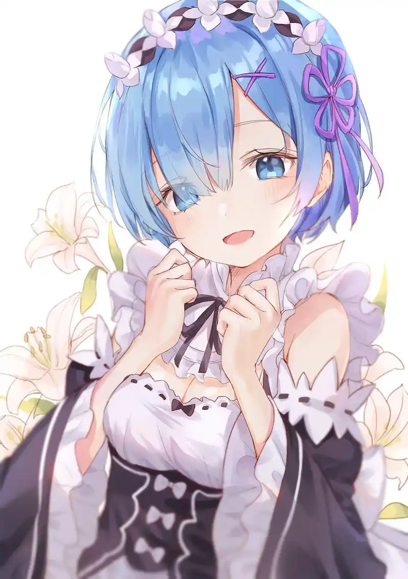 动漫图片re从零开始的异世界生活蕾姆图集