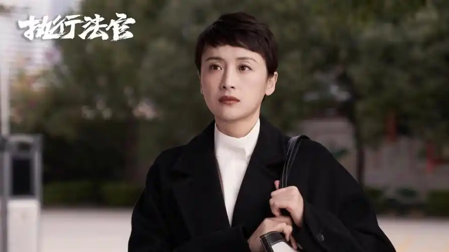 电视剧《执行法官》大结局