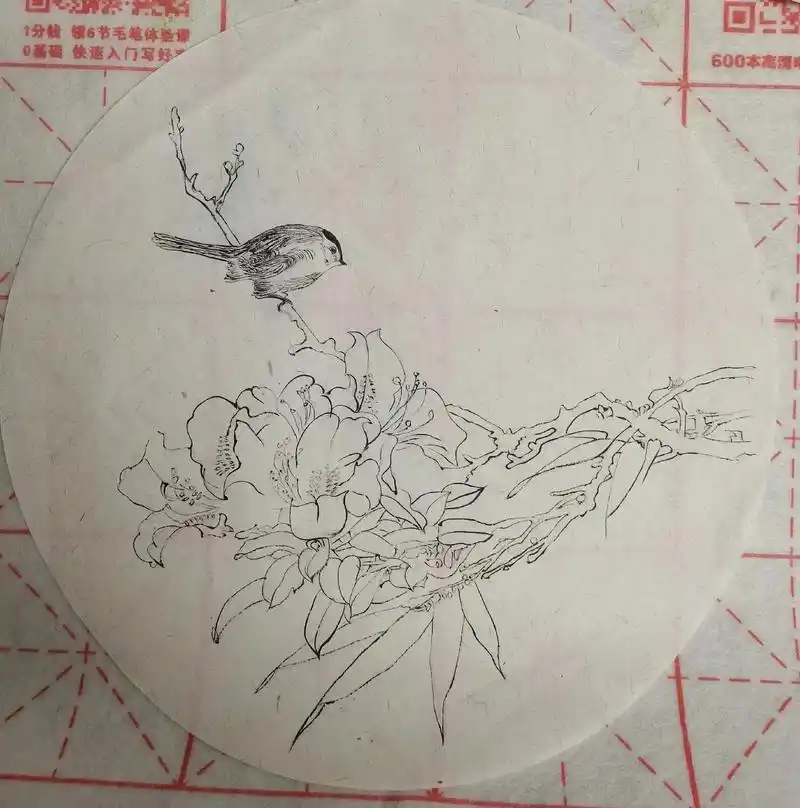 国画花鸟 最近有点入坑里了. - 抖音