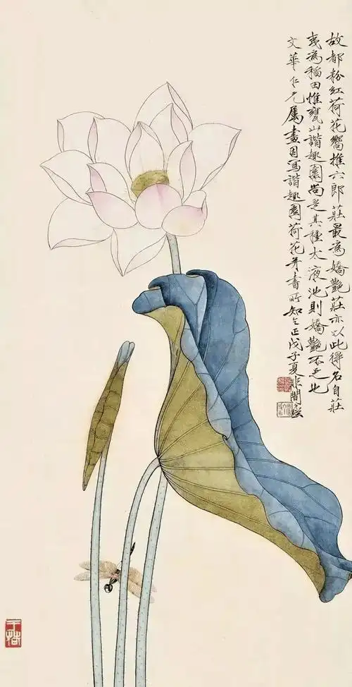 这工笔荷花,有清心的感觉