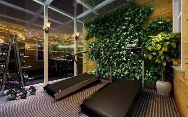 在阳台上放上各种健身器材,就是一个健身房.