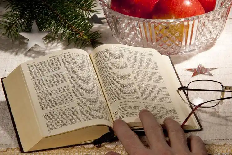 书图片_书图片大全_全景图片