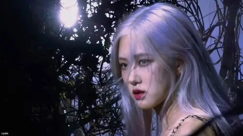 朴彩英 ros07 - 堆糖,美图壁纸兴趣社区