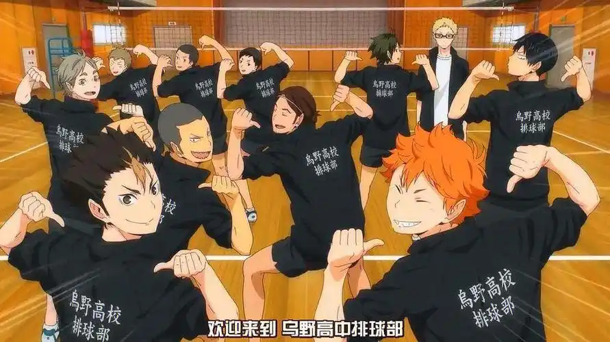 今天要推荐的番剧是一部热血运动番,名字叫做《排球少年》.