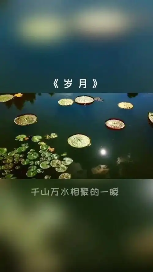 时光如水,岁月无声,谢谢你曾带给我的惊喜,温暖与感动.#告别2019