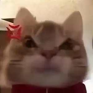 今天给大家分享一批搞笑又可爱的歪嘴小猫表情包