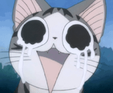 猫咪流泪激动可爱gif动图_动态图_表情包下载_soogif