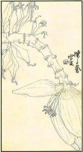 白描大师陈子奋