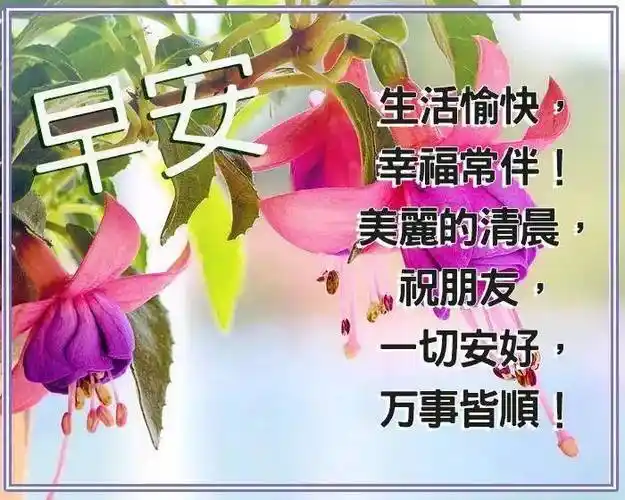 原创8张创意好看的亲人朋友圈早上好祝福语图片免打字的夏日问候大家