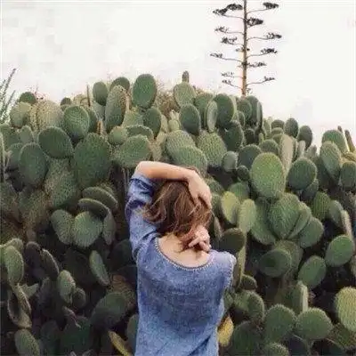 背影头像图片女生唯美背影图片女生唯美高清头像