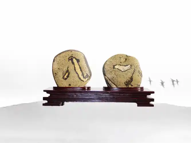 黄河文字石欣赏