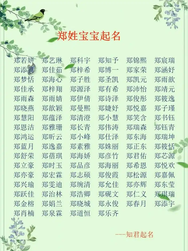 郑姓宝宝起名改名,令人惊艳的宝宝名字,供参考学习