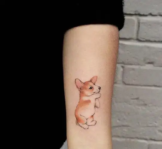 手臂宠物小狗纹身图片可爱萌萌哒