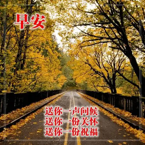 深秋早上好问候语唯美句子2020早晨好问候图片表情合集