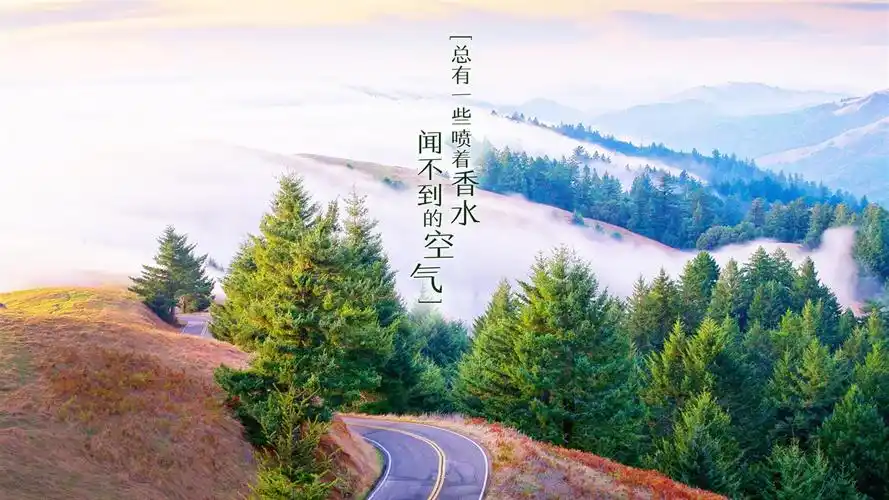 文字语录文字控壁纸9