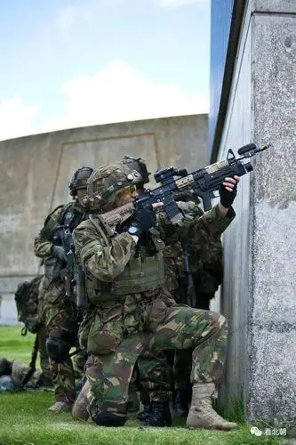 比郁金香还漂亮的军演摄影大片荷兰皇家陆军进行反恐演习剪影