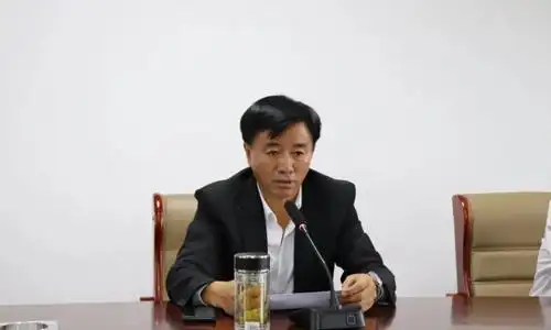 县政府 领导活动  曾范涛还深入十家堡镇等树木倒伏