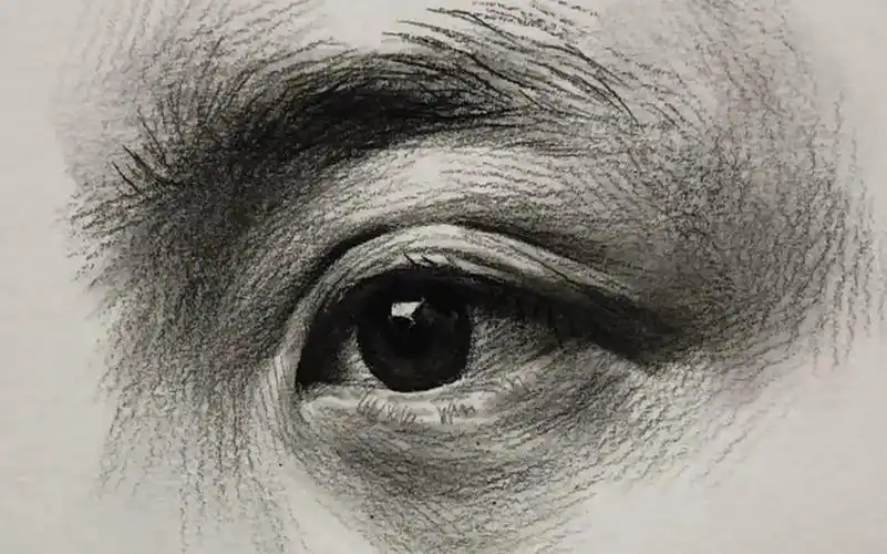 【徐培阳素描】每天get一个素描小技巧——眼睛的深入刻画