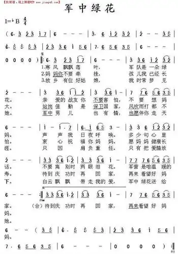 《军中绿花》简谱