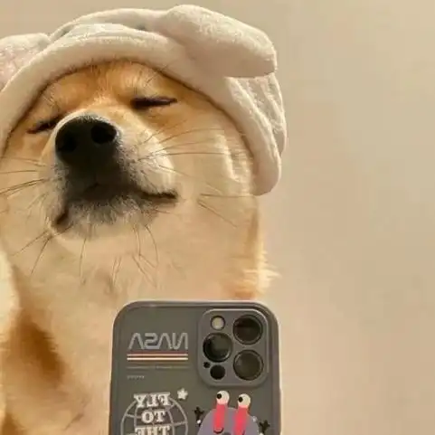 狗类高质量头像#狗头 - 抖音