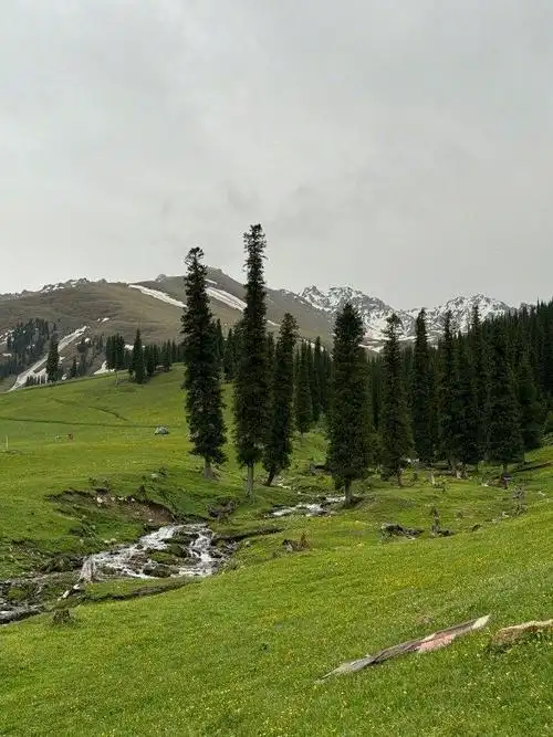 好清新好治愈的大自然风景!
