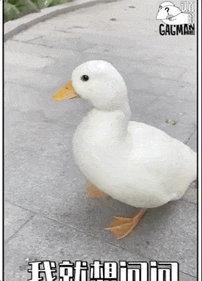 294_408竖版 竖屏gif 动态图 动图