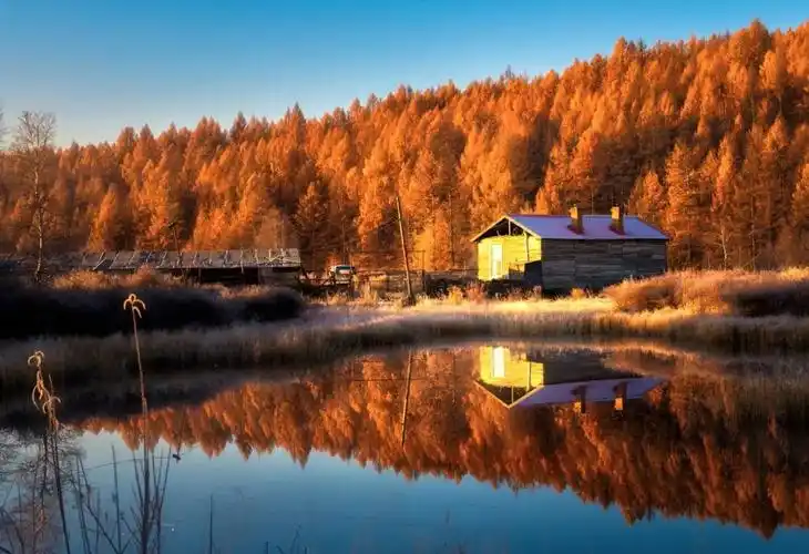 九月阿尔山呼伦贝尔极致秋色北欧森林体验