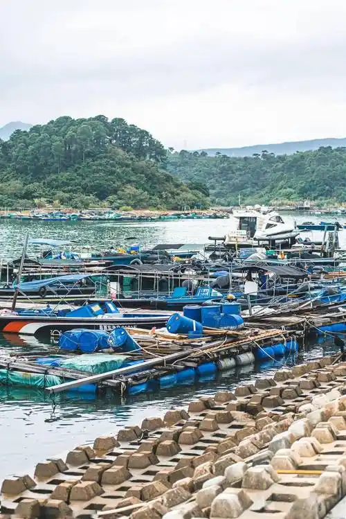 自驾—惠阳区澳头南港休闲渔业旅游服务有限公司,乘坐快艇到东升岛