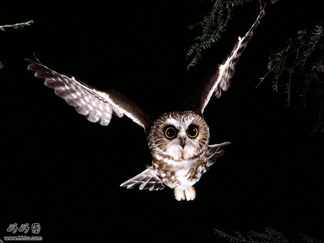 707_530gif 动态图 动图