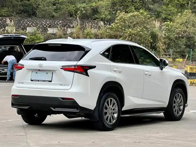 17年雷克萨斯(进口)nx200 全驱