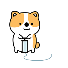 表情柯基犬橘部