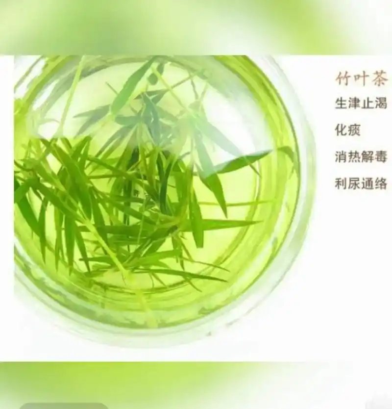 竹叶青茶, 功效:生津止渴 化痰 清热解毒 利尿通络 - 抖音