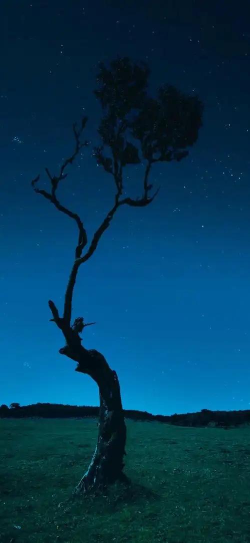 每日精选4k全屏壁纸[09期]|难关_网易订阅