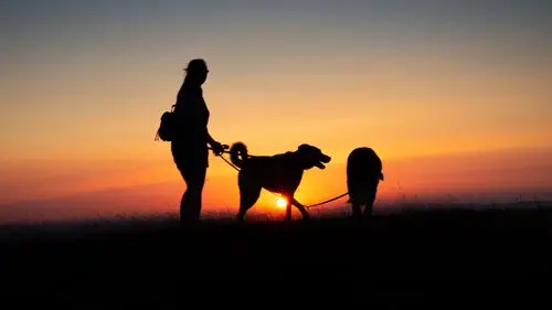 唯美人物剪影图片大全