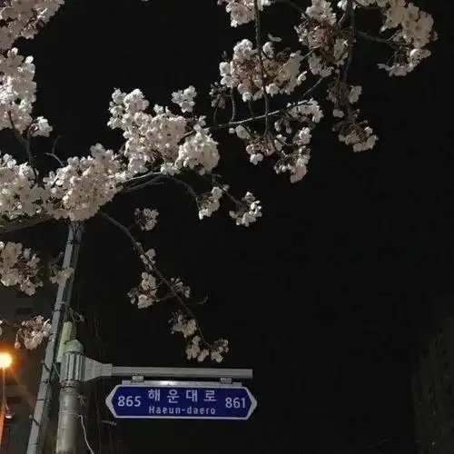 本文关键词:ins超火背景图高清,ins超火背景图冷风,ins超火背景图白色