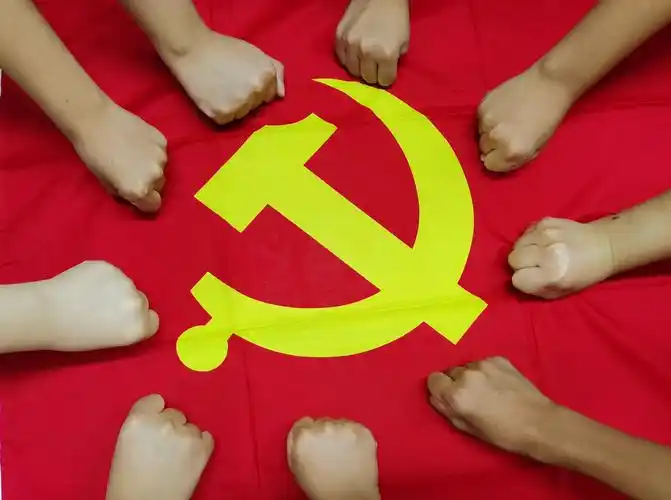 【永跟党走】沙堆镇青年与党旗同框,向党表白!